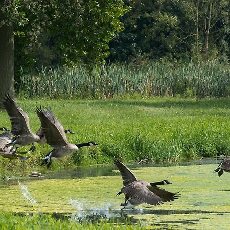 B&B Park7 Wavre - Leuven Huldenberg Eksteriør bilde