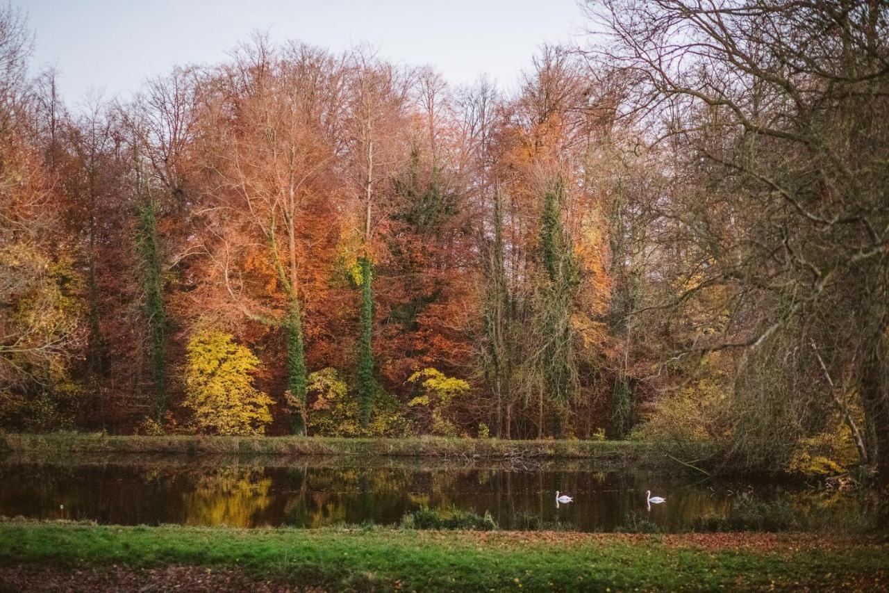 B&B Park7 Wavre - Leuven Huldenberg Eksteriør bilde