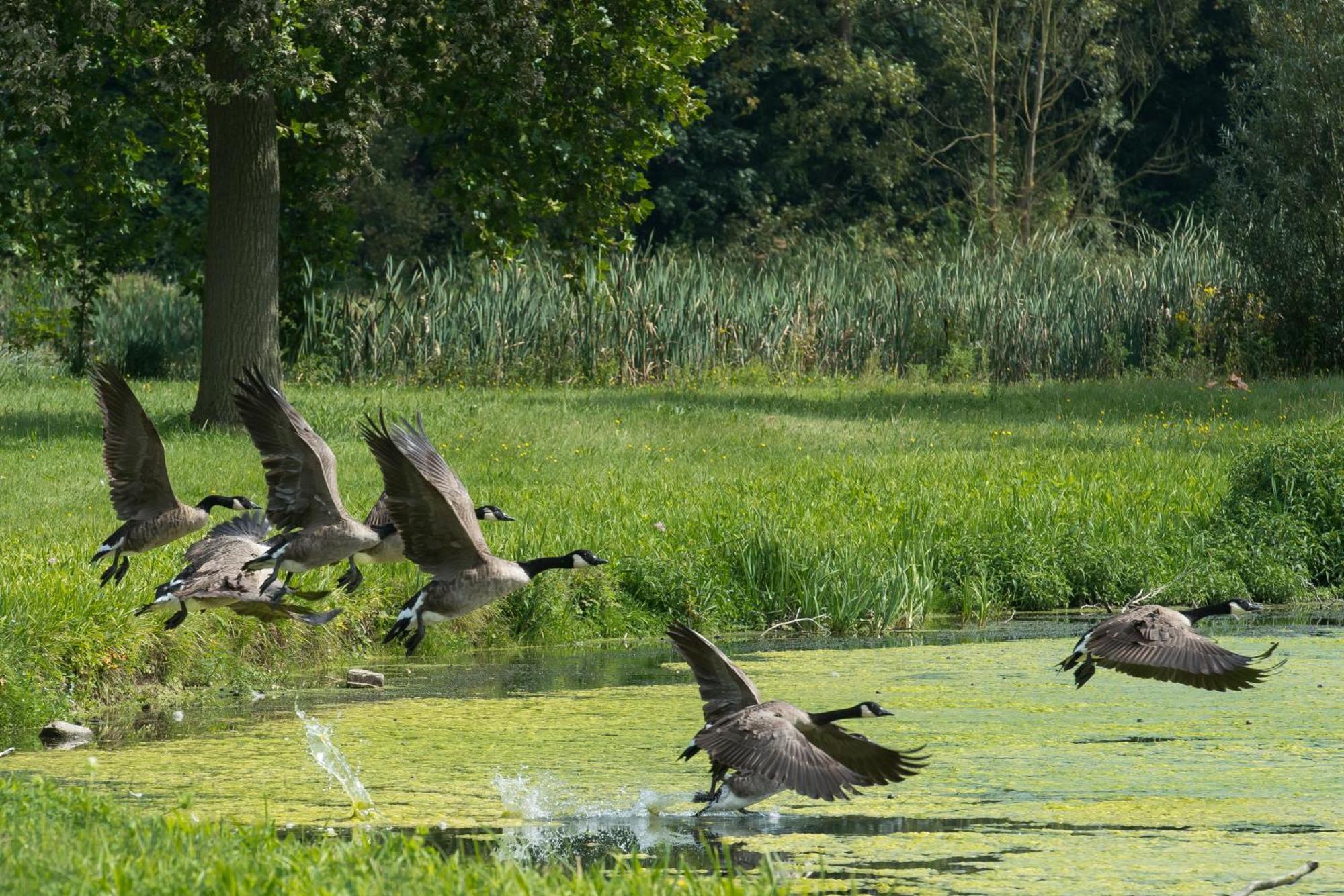 B&B Park7 Wavre - Leuven Huldenberg Eksteriør bilde